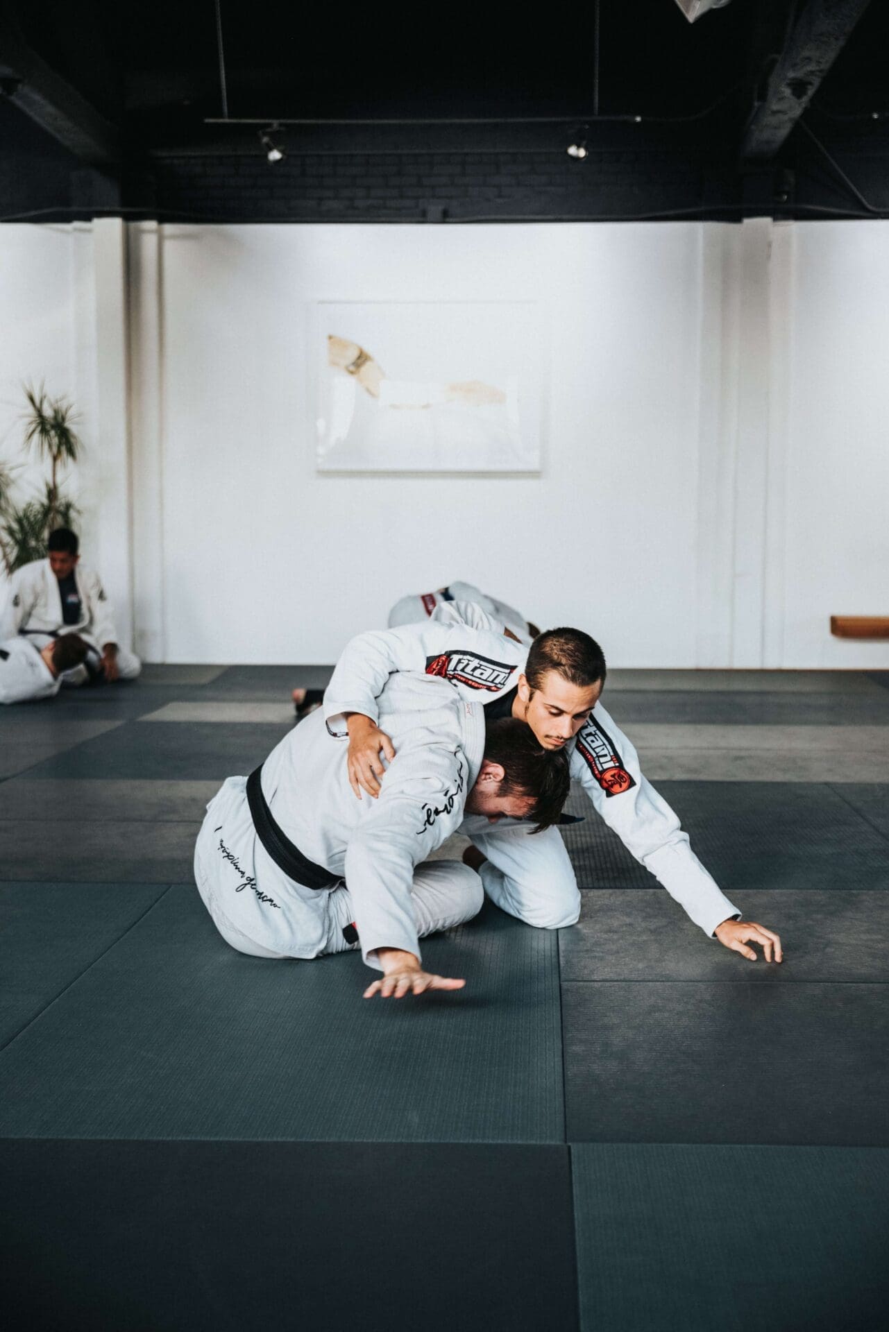 Combat Sports